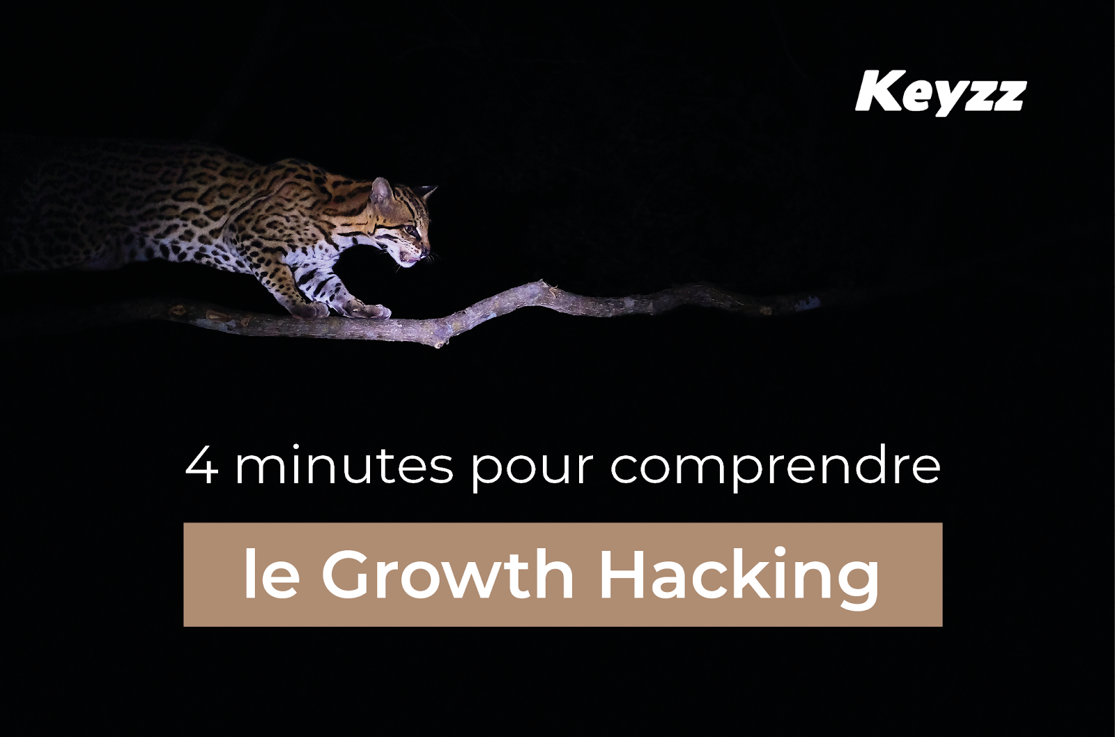 GrowthHacking 