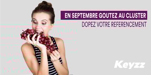 keyzz-blog_statégie_de_contenu_cluster